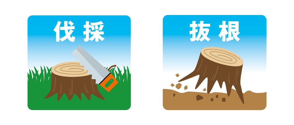 庭木の伐採,伐根