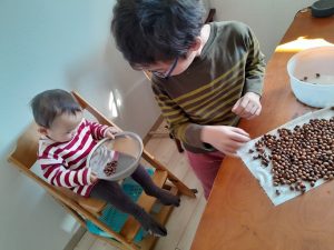 どんぐりの選別をする子供たち