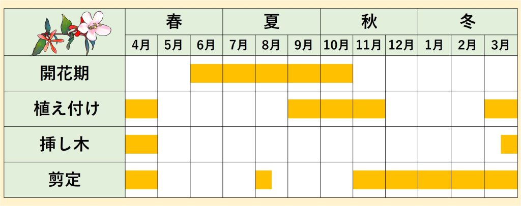 アベリア年間スケジュール