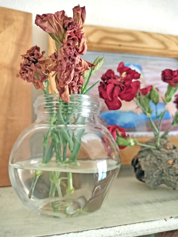 ドライインウォーター法6