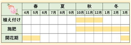 ラナンキュラスカレンダー