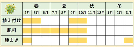 ルドベキアカレンダー