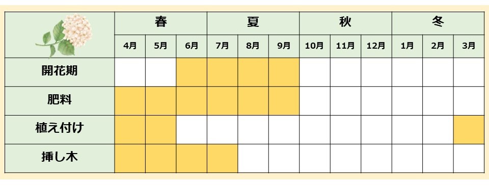 年間スケジュール