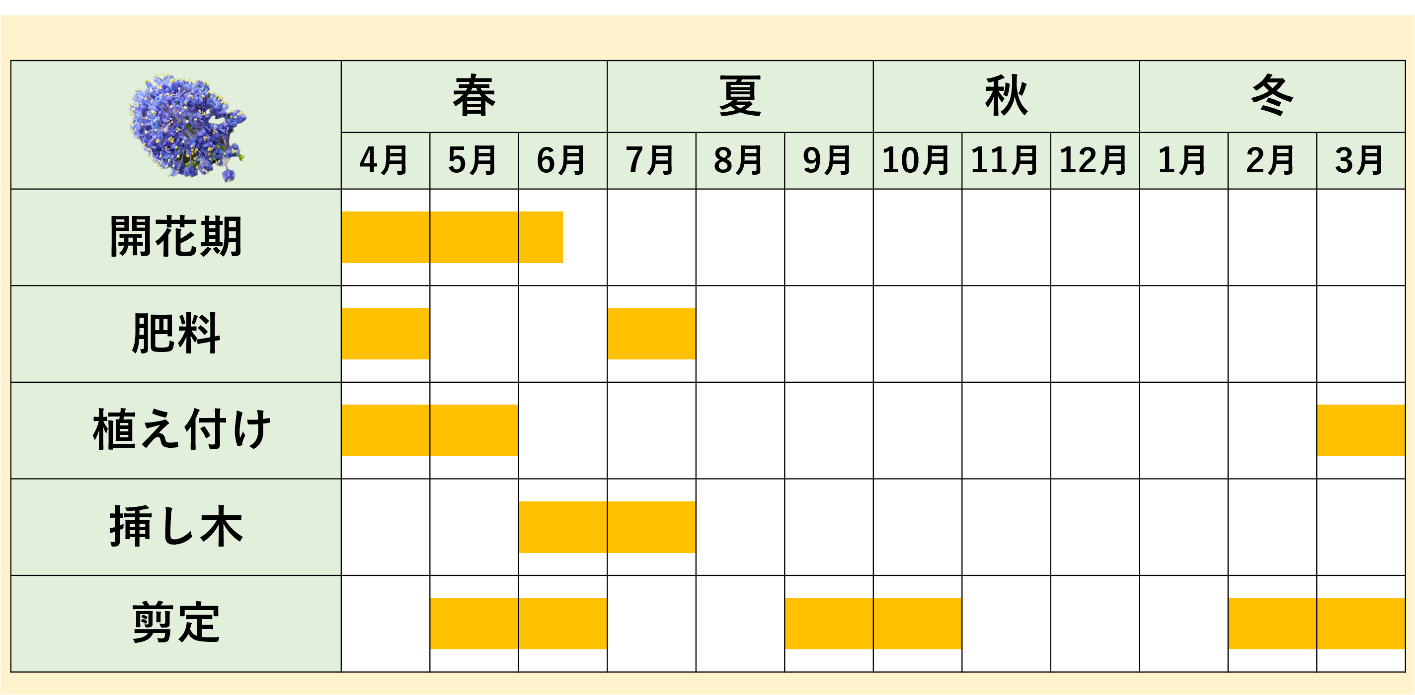 年間スケジュール
