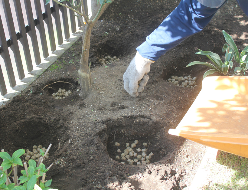 施肥】庭木にやさしい肥料の与え方とおすすめの時期 | お庭から始まる豊かなグリーンライフ「庭サポ」