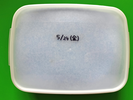 日付が書いてあるタッパー