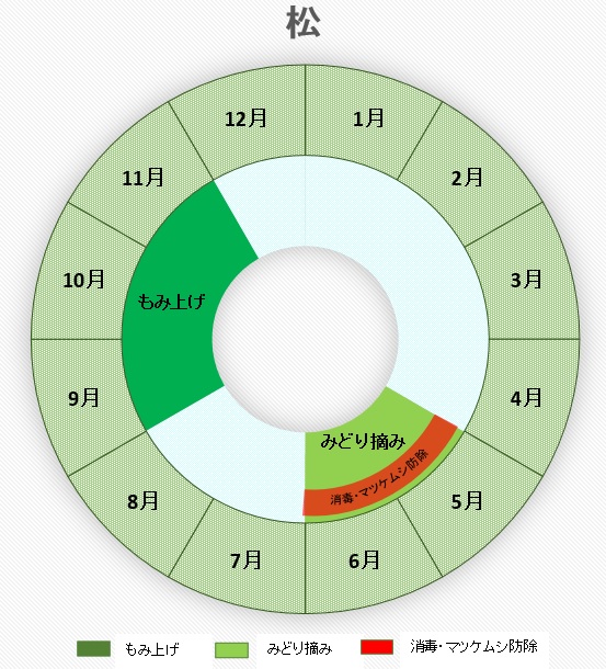 松(マツ)のお手入れカレンダー