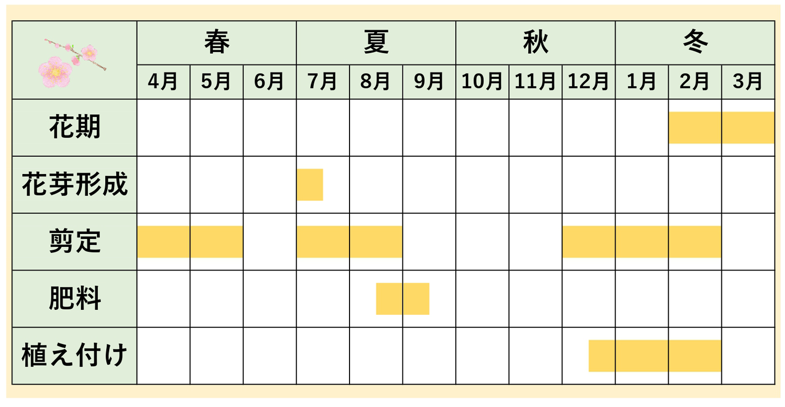 梅の木_スケジュール