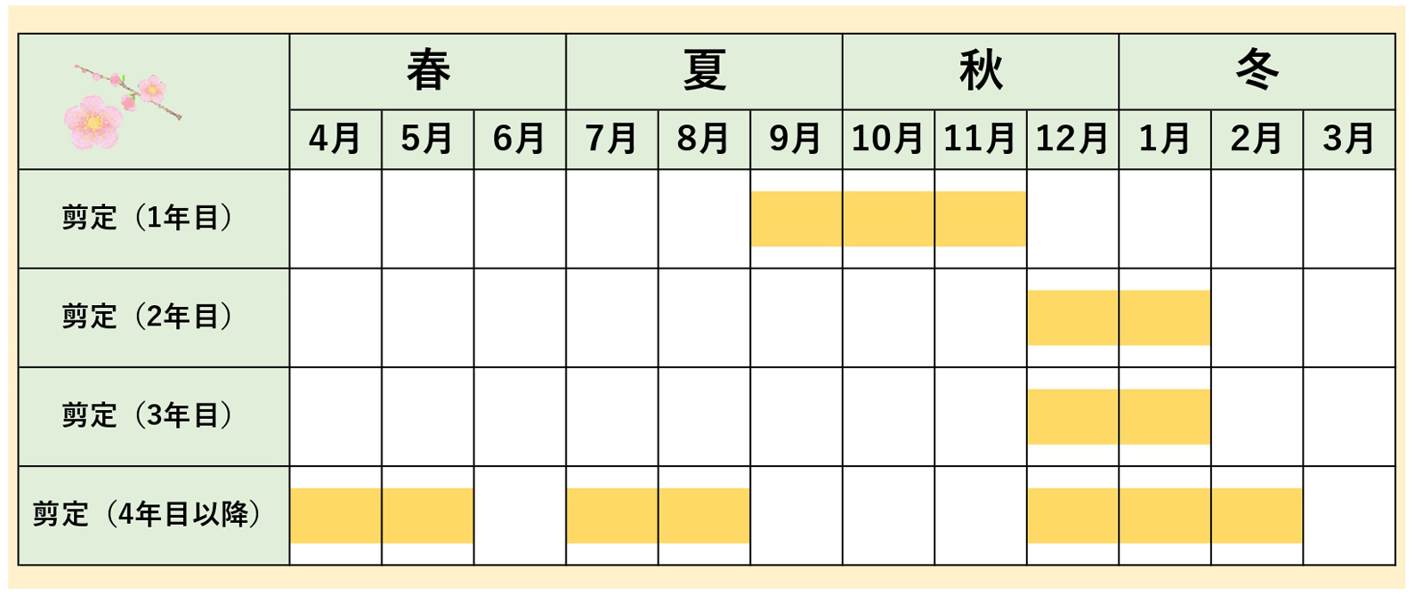 梅_樹齢別_庭サポ年間スケジュール