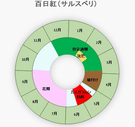 百日紅（サルスベリ）お手入れカレンダー