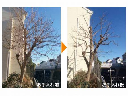 お手入れ事例-修正