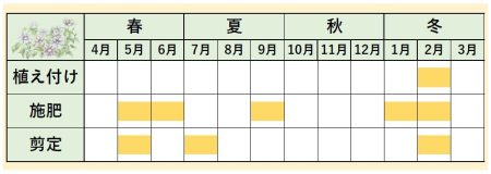 クレマチスカレンダー