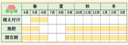 カレンダー