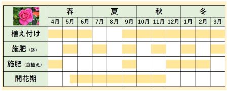 カレンダー