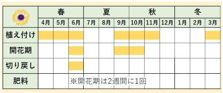 カレンダー