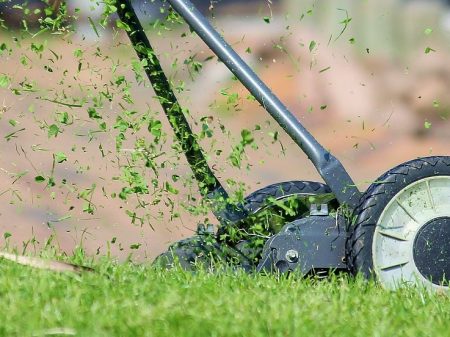 せいかつ緑化計画 青々とした芝庭を手に入れよう 芝刈り編 クイック ガーデニングの 庭サポ