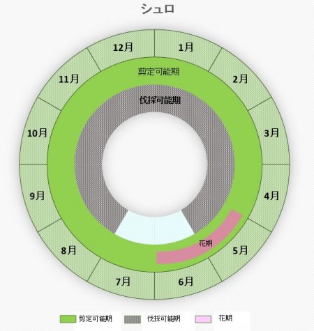 シュロ円グラフ