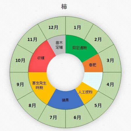 柿（カキ）お手入れカレンダー