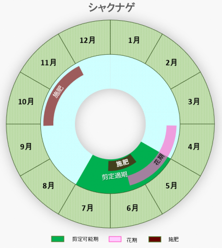 シャクナゲ円グラフ