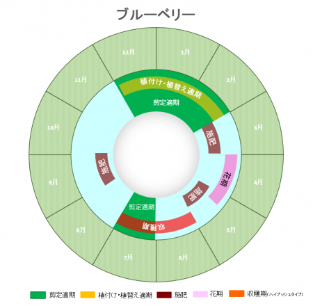 ブルーベリー育成グラフ