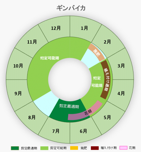 ギンバイカ成育グラフ