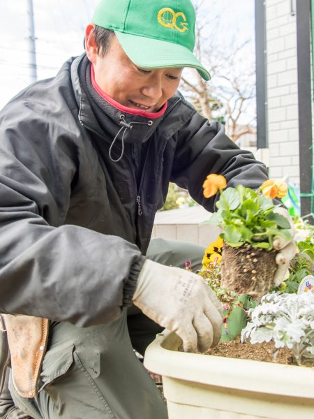 植木鉢の植替え作業。メニューの詳細は、ホームページの「植木鉢の植替え」をご覧ください。