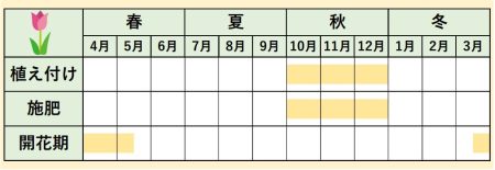 チューリップカレンダー