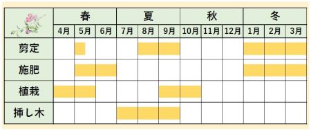 サザンカカレンダー