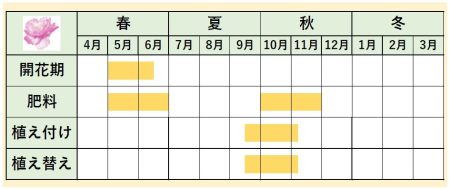 芍薬カレンダー