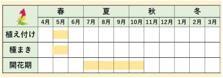 ケイトウカレンダー