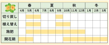 カラコンエカレンダー