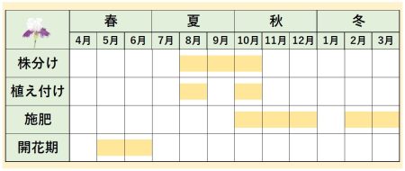 ジャーマンアイリスカレンダー