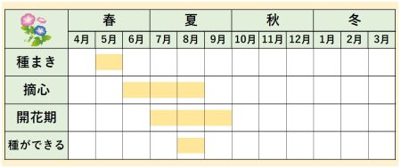 あさがおカレンダー