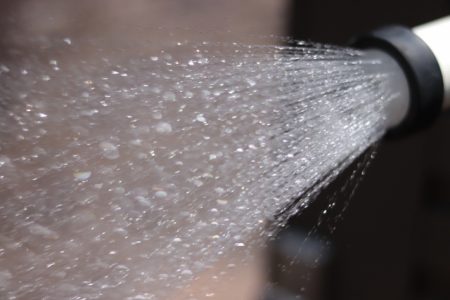 大切な贈りものを毎年咲かせよう カーネーションの鉢植え クイック ガーデニングの 庭サポ