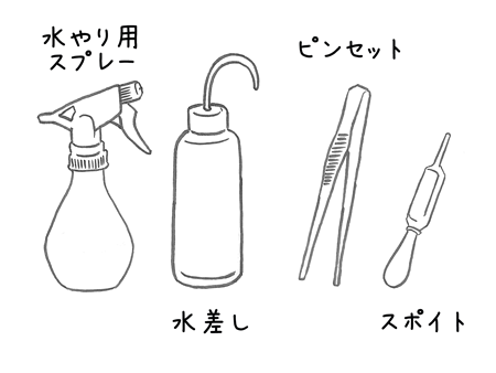 初心者でもトライしやすい 苔リウム クイック ガーデニングの 庭サポ 初心者でもトライしやすい 苔リウム クイック ガーデニングの 庭サポ
