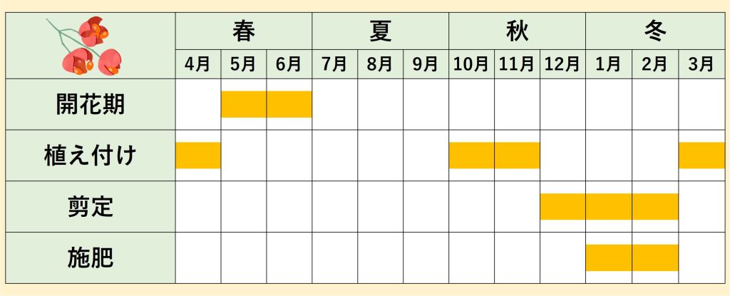 ツリバナの年間スケジュール