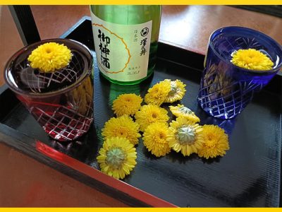 重陽の節句（菊の節句）とは？由来・菊の意味・菊酒の作り方を徹底解説
