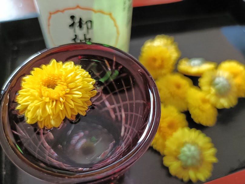 重陽の節句にやってみよう:菊酒づくり