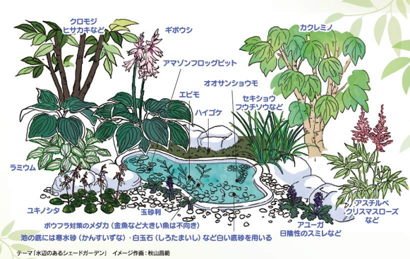 せいかつ緑化計画 日陰でも育つ植物 お庭から始まる豊かなグリーンライフ 庭サポ