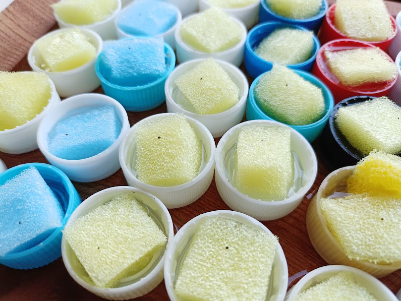 ミント水耕栽培