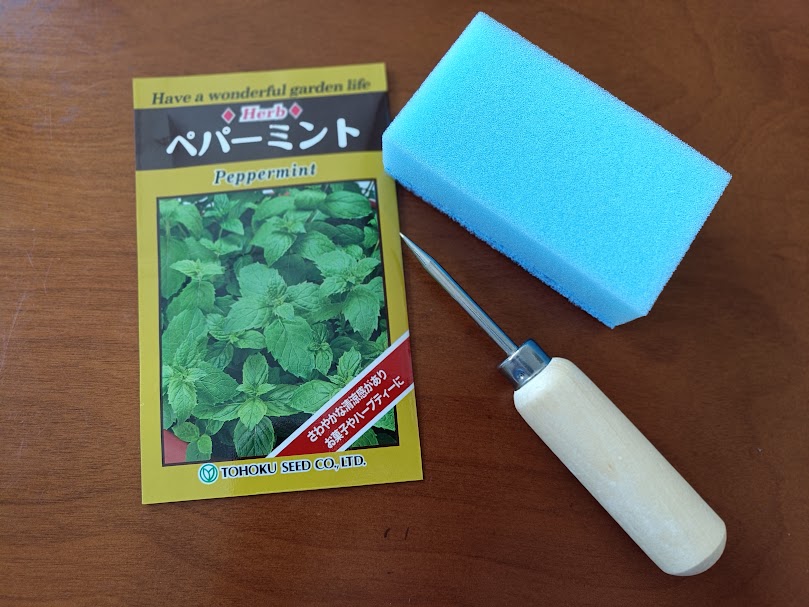 ミント水耕栽培