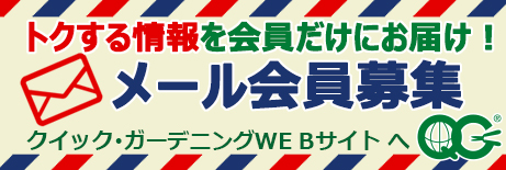 メルマガ会員募集