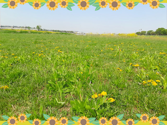 tamagawa