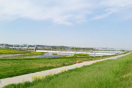 tamagawa2