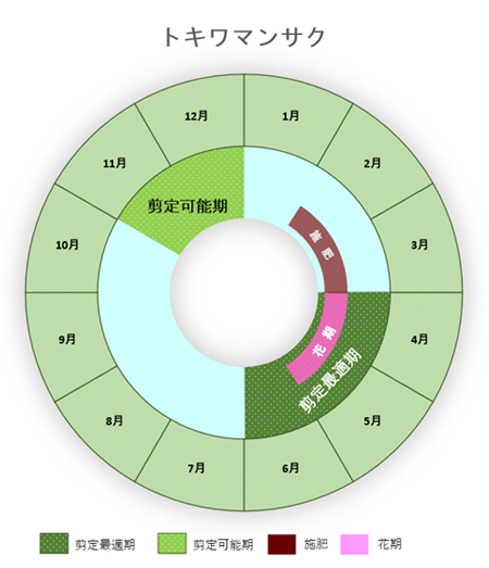 花の生垣に姿を変える トキワマンサク お庭から始まる豊かなグリーンライフ 庭サポ