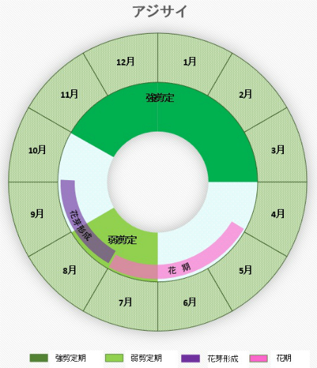 あじさい円グラフ