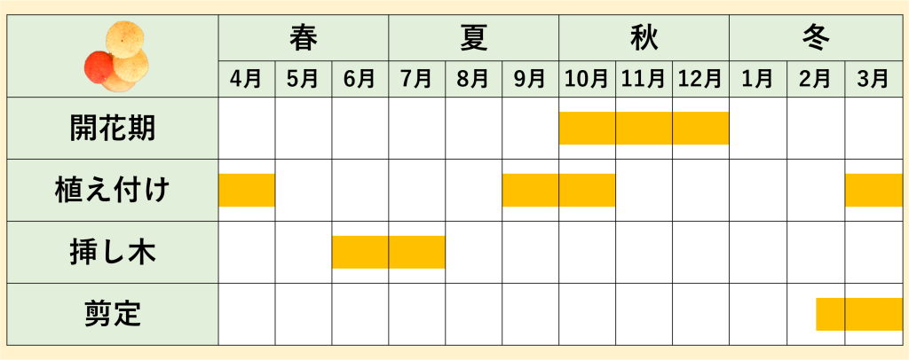 年間スケジュール