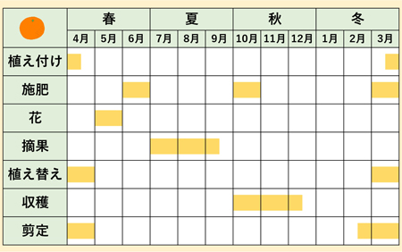 庭サポ年間スケジュール6