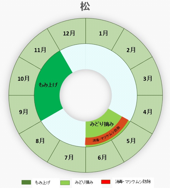 松（マツ）のお手入れカレンダー