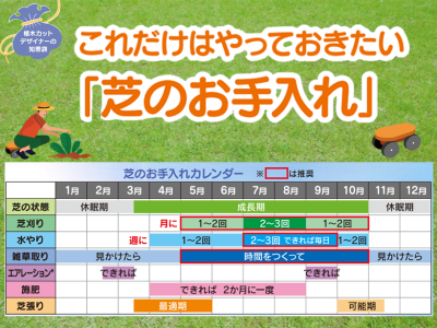 これだけはやっておきたい「芝のお手入れ」